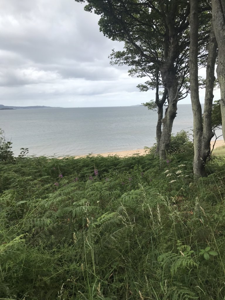 karenjacques01's tweet photo. Exploring the beautiful places close to home. Today’s 🏃‍♀️ was around @RoseberyVenues what a location, amazing venues and views. #take5fortourism #localtourist #edinburgh #run #VisitScotland https://t.co/ZSAKPrruoT
