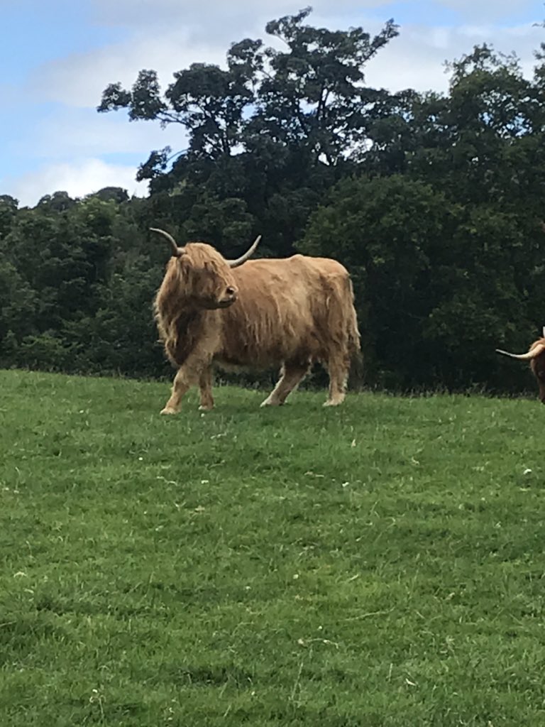 karenjacques01's tweet photo. Exploring the beautiful places close to home. Today’s 🏃‍♀️ was around @RoseberyVenues what a location, amazing venues and views. #take5fortourism #localtourist #edinburgh #run #VisitScotland https://t.co/ZSAKPrruoT