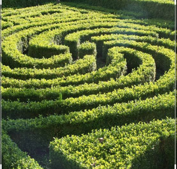 EgeparkK's tweet photo. Şimşir (Buxus Sempervirens) 🌿🌳➡ Herdem yeşildir ve budama ile istenilen her şekil verilebilir. Yazın sulanmasına dikkat edilmelidir, kışın pek su istemez. 2 boy seçeneğiyle Egepark Fidancılık'ta.
.
.
.
#şimşir #buxus #topiary #topiaryart #istanbul https://t.co/BGxwmWWmoJ