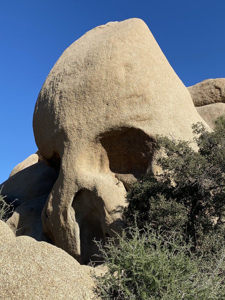 GMalkowska's tweet photo. Dziś #JoshuaTreePark
Podróżuję po moim albumie:) https://t.co/sf5OTfBzNz