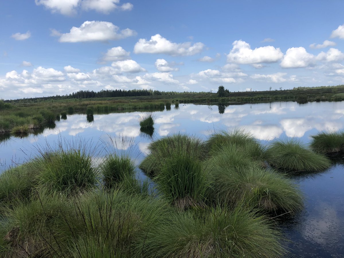 Hohes Venn in Belgien 🇧🇪