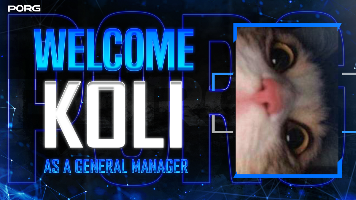 PORGEsports's tweet photo. We are excited to announce our first manager:

Welcome @Koliqp 

We wish you success in your role 

#WeArePORG 🌊 https://t.co/22vx04wSdF