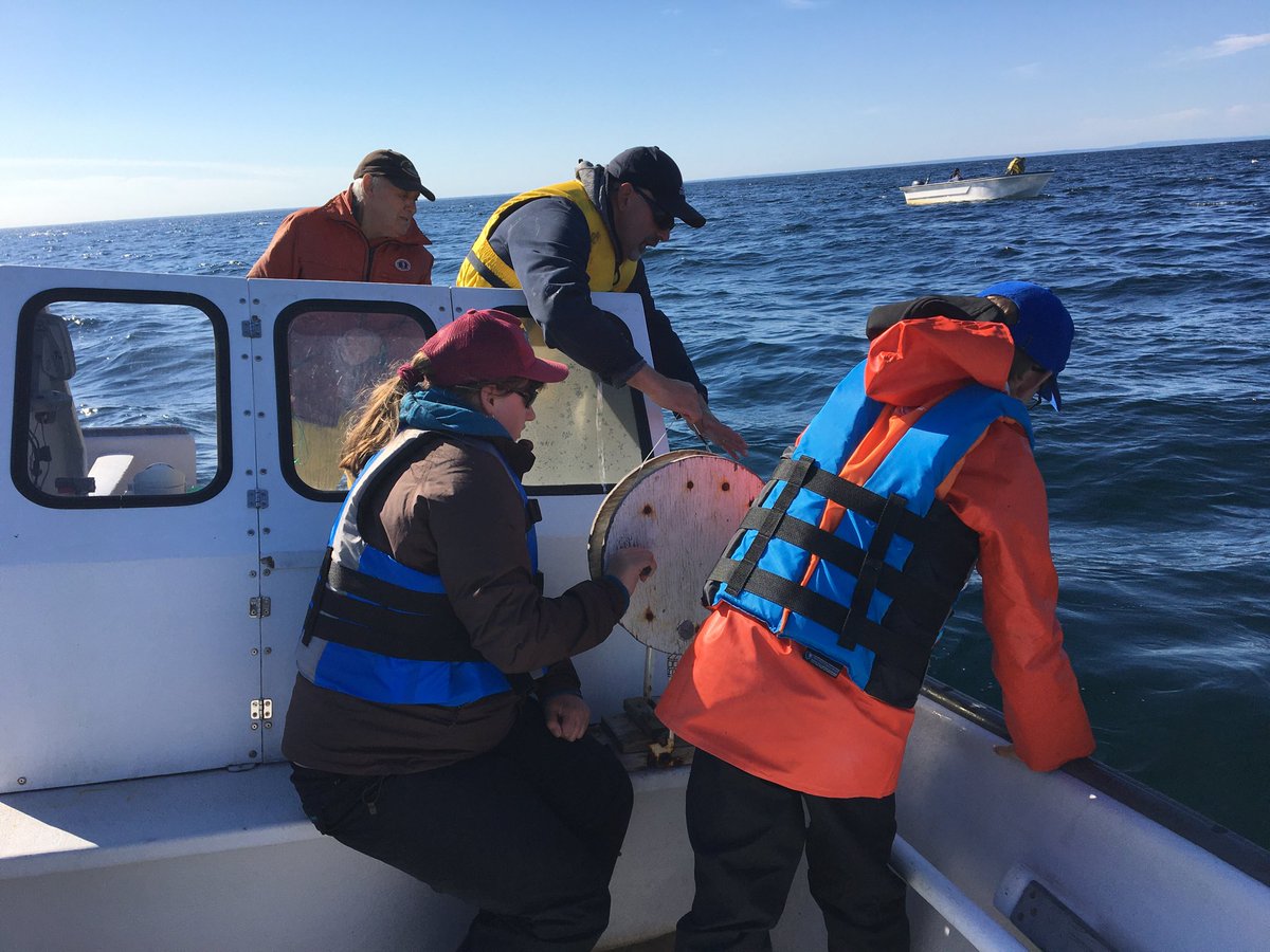 Everyone’s busy while I’m taking snaps!