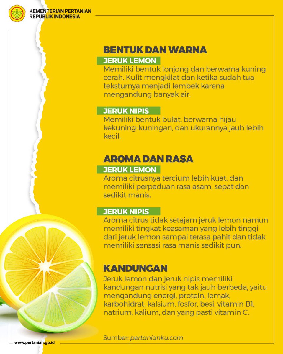 Kementerian Pertanian Ri On Twitter Sobatani Udah Pada Tahu Belum Beda Jeruk Lemon Dan Jeruk Nipis Yuk Simak Infografis Kali Ini Ya Beda Jeruk Lemon Dan Jeluk Nipis Pertanianindonesiamaju Https T Co Zuav6mxfbz