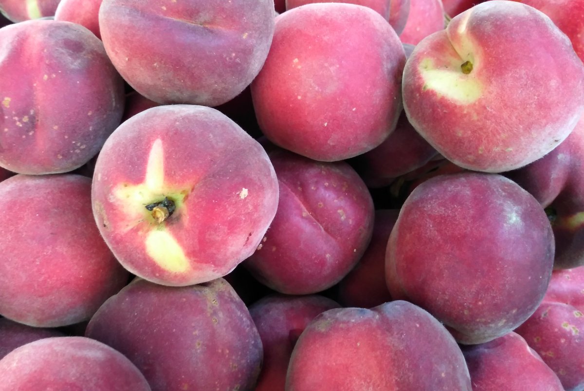 KernanFarms's tweet photo. The champagne of peaches! Our #TreeRipened White Peaches are perfect with champagne or prosecco! Today at #UWS Columbus/81st and #Bensonhurst (18th Ave/82nd St) Greenmarkets! https://t.co/psTINrQSw5