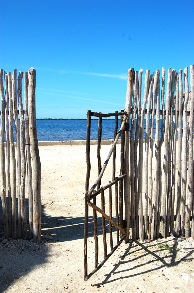 '...cuántas veces los temores vienen a amargarnos la vida y al final resulta que no tenían fundamento ni razón de ser.'
- J. Saramago.
