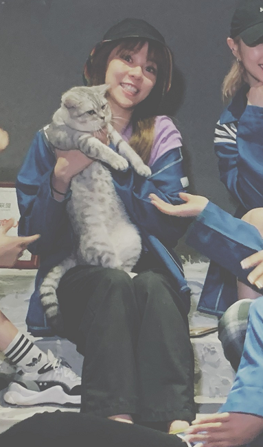 keyanshi's tweet photo. even when playing in an escape room, hua chengyan will not give up her cat lady behavior! https://t.co/PnSuHYHcjK