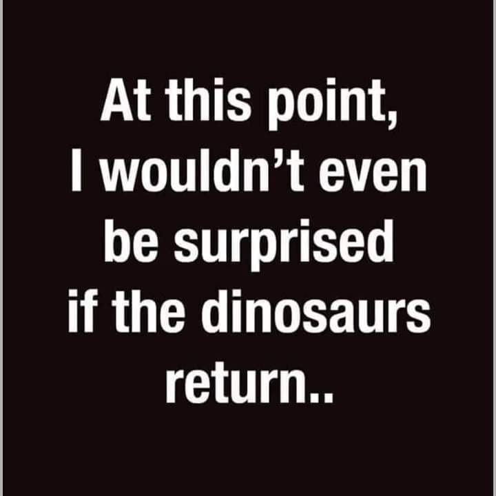 LadyCherokee45's tweet photo. Not one bit 🤷‍♀️ https://t.co/DuFIXXITc3