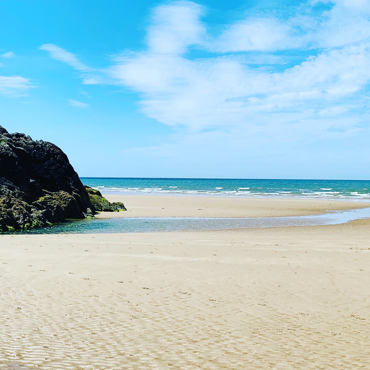 Cathy Walker tweet media