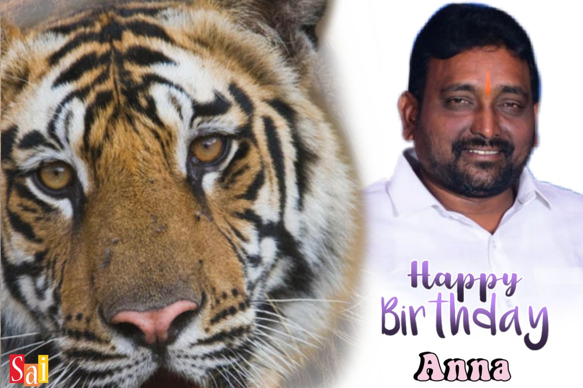 PalleSaikumar4's tweet photo. 🐅🎂🥳‌ WISH YOU A VERY HAPPY BIRTHDAY TO YOU TIGER VENU ANNA....✊🏻💪🏻👏🏻🎂🥳 https://t.co/4plsGE8sPq