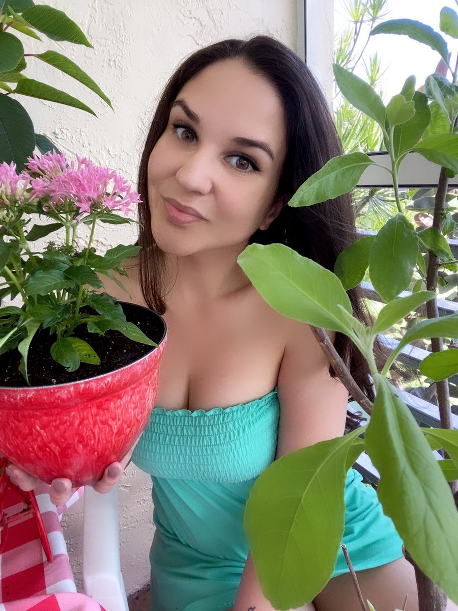 Scarlet_ASMR's tweet photo. 🌺🐛Sunday’s are meant for spending time in nature 🌸🦋

Custom videos email me @ junebug8886@gmail.com 😍❤️

 #sundayfunday #latinaswhogarden #asmrcustomvideos #naturelovers https://t.co/iIEKOwQKO9