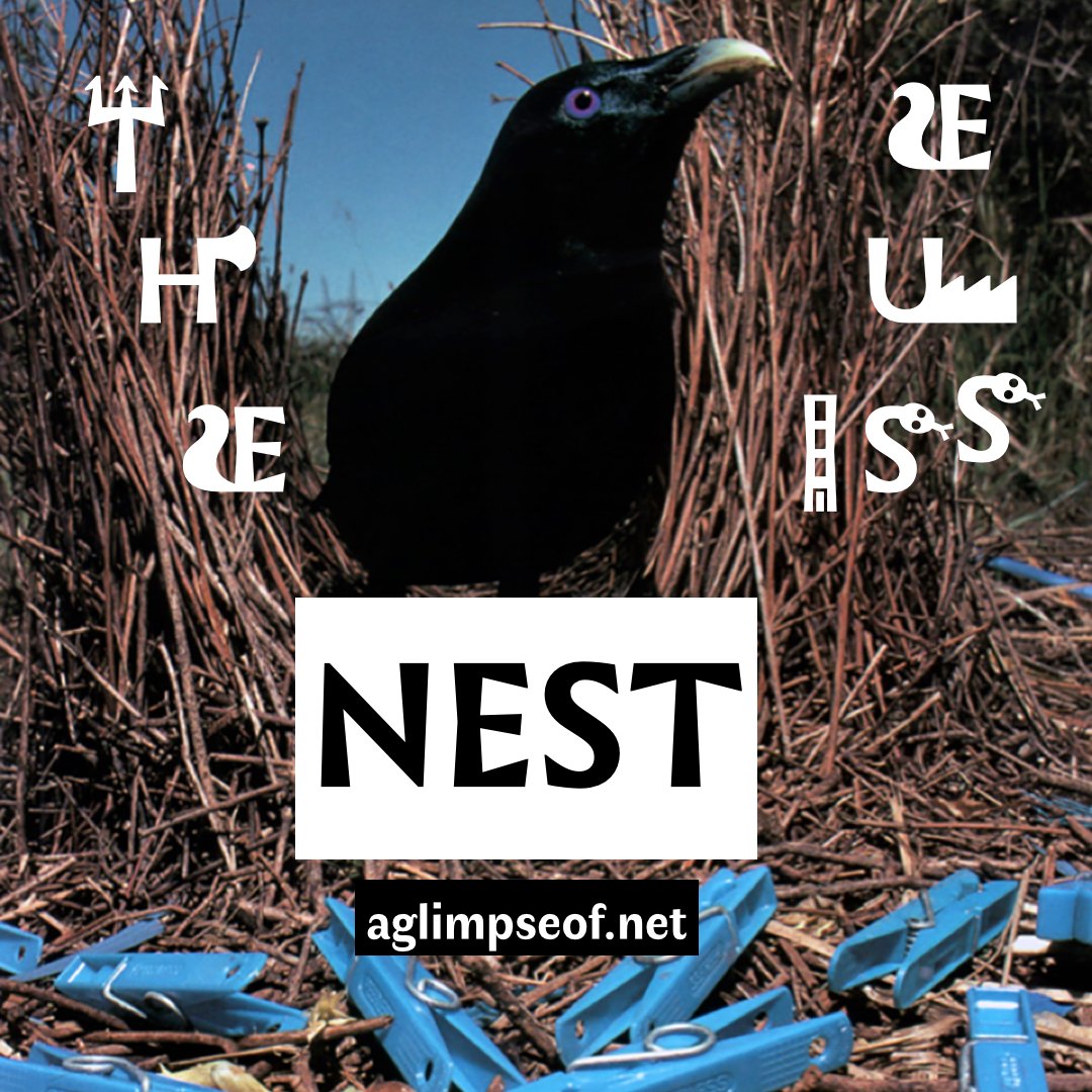 aglimpseof's tweet photo. Today on the NEST issue:
"37 stages," a sound poetry piece by Erika Hodges, or “A collective offering of mourning together.”
https://t.co/YhoPMwcFZ6
#aglimpseof_net #TheNestIssue https://t.co/T1tjDKcHAZ