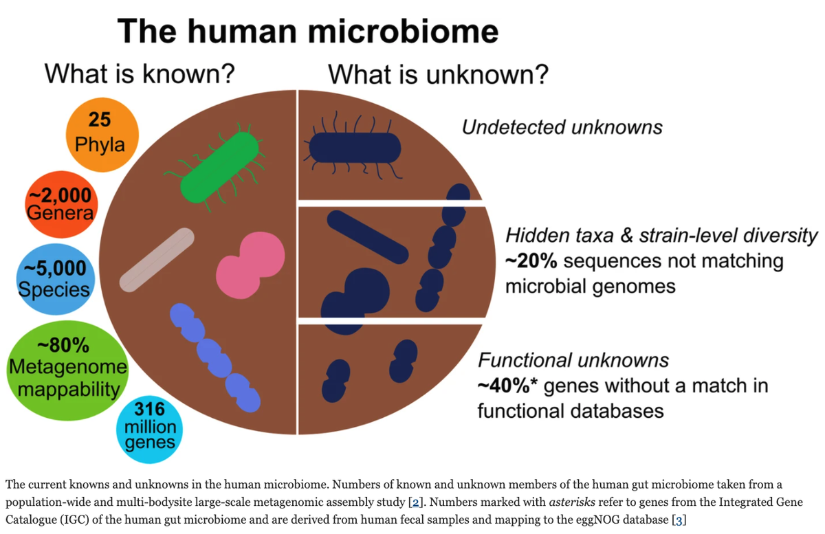 TheGutHealthDoc's tweet photo. Reality check! There's so much we don’t know about our GM 🦠 We're at huge risk of mis-interpreting &amp; over-estimating what we know so far. That's why I don't recommend commercial microbiome tests - the science just isn't there for now.

Ref: Thomas and Segata, BMC Biology, 2019 https://t.co/4Sakl2LJ0W
