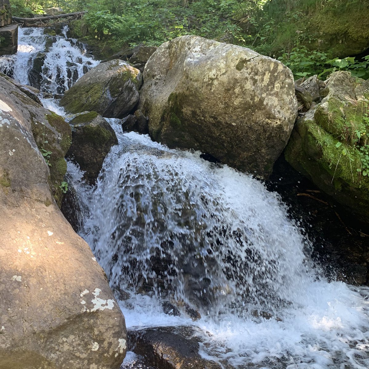 dFoodArt's tweet photo. finding simplicity, rustico in ticino con amici. grazie 🌷
#ticino #bbq #naturepool #freezing #cold #nature #freshair #switzerland #inlovewithswitzerland #ciao #amici https://t.co/klb4nmLgxF