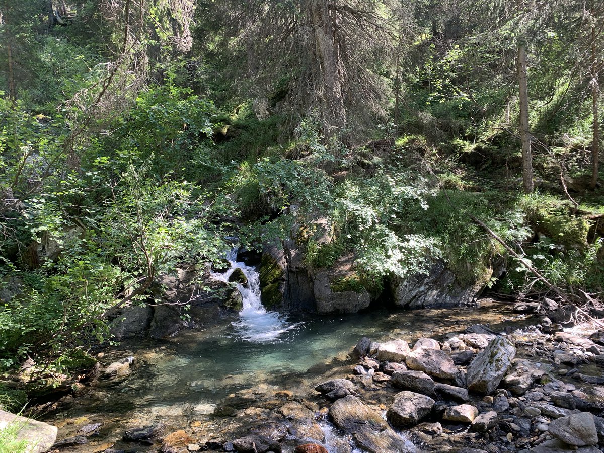 dFoodArt's tweet photo. finding simplicity, rustico in ticino con amici. grazie 🌷
#ticino #bbq #naturepool #freezing #cold #nature #freshair #switzerland #inlovewithswitzerland #ciao #amici https://t.co/klb4nmLgxF
