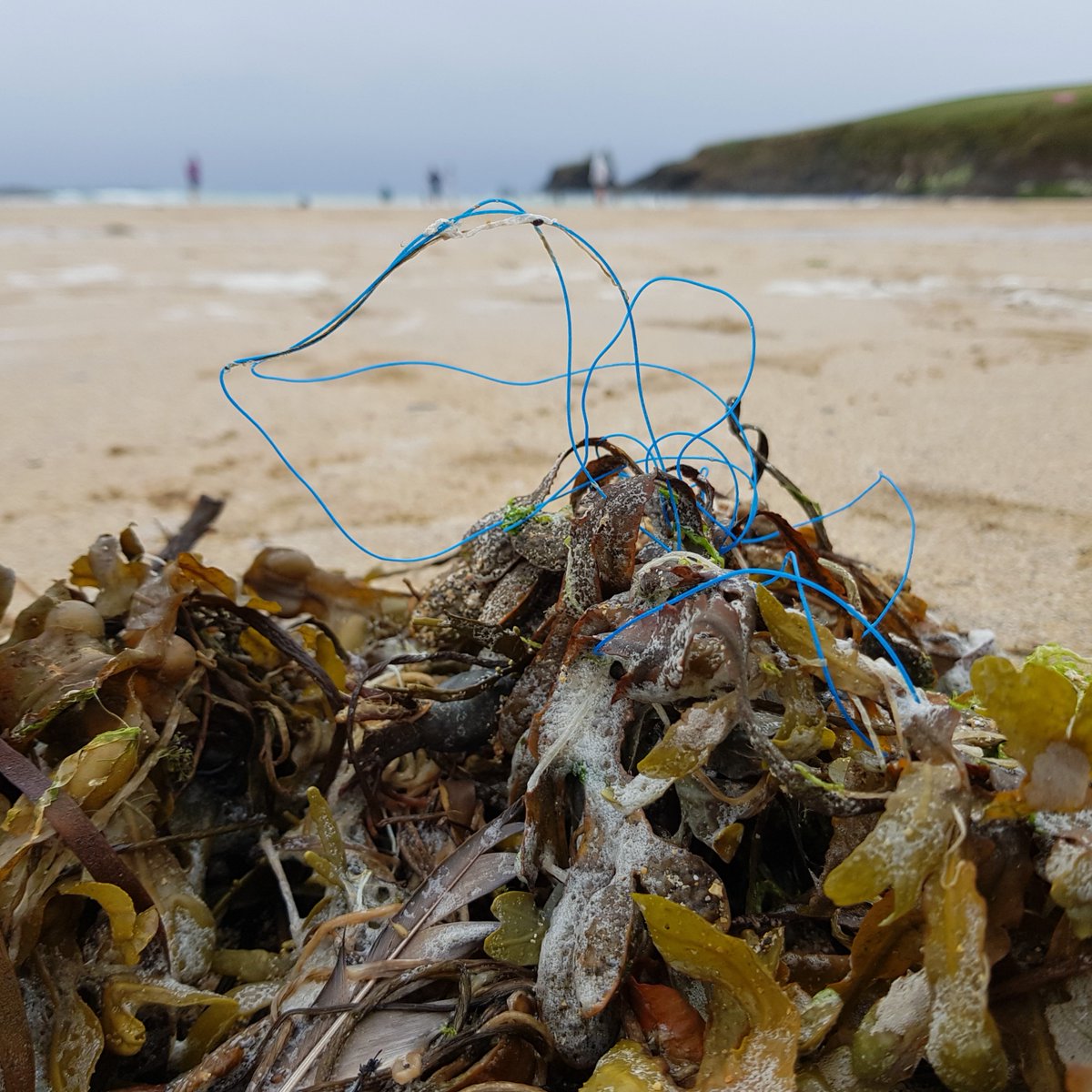 PlasticWaive's tweet photo. 👪 Thanks to a strong community of volunteers and people doing a #2MinuteBeachClean, #OneLess or #3ForTheSea the combined effect is less plastics on beaches
📷 Let's keep this going through the summer. Share your pictures and use the hashtags when you do!
#IAmABeachGuardian https://t.co/rBAeCvW6dE