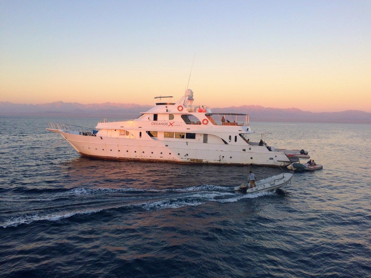 anotherstation's tweet photo. For those interested in scuba diving, LiveAboards are the way to go! Here's why... 🦈

https://t.co/1t5Ct2jHkl

#TeacupClub @BBlogRT @LovingBlogs #BEECHAT @USBloggerRT #BloggersHutRT https://t.co/dhsUBKABST