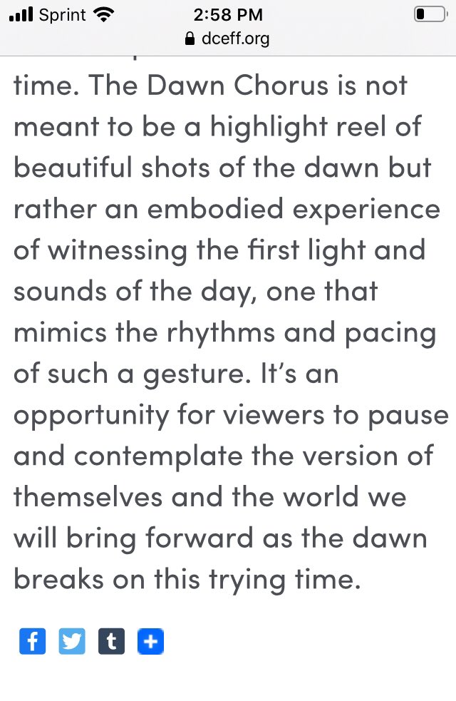 carrollcaitlin's tweet photo. And I love this from @patshen’s director’s statement: https://t.co/qQGjgqGGOR