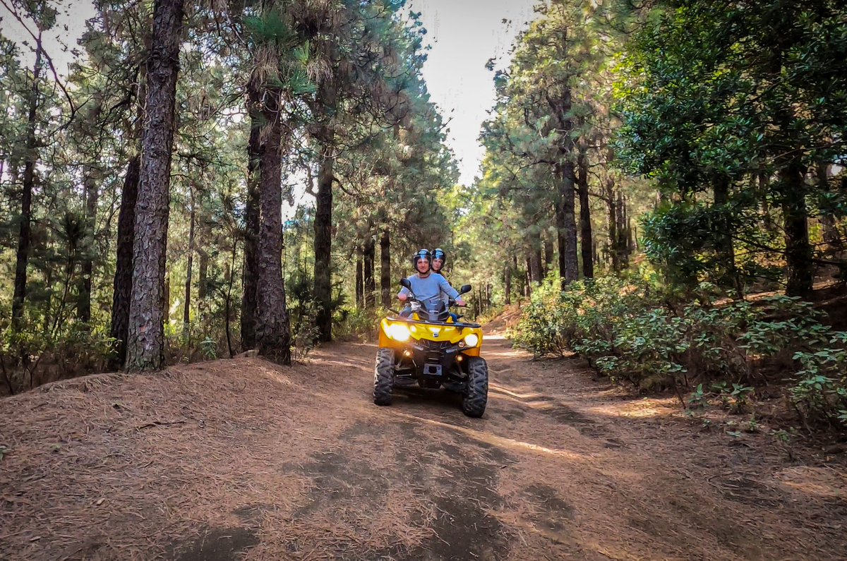 myquadsandbikes's tweet photo. ¿Estás en La Palma y quieres hacer algo diferente? Reserva con nosotros y ¡que comience la aventura! https://t.co/FgCSLdT6d0 #quadtours #lapalma #canarias #laislabonita #moto #atv #actividades #rutas #excursiones https://t.co/kVia3koNUd