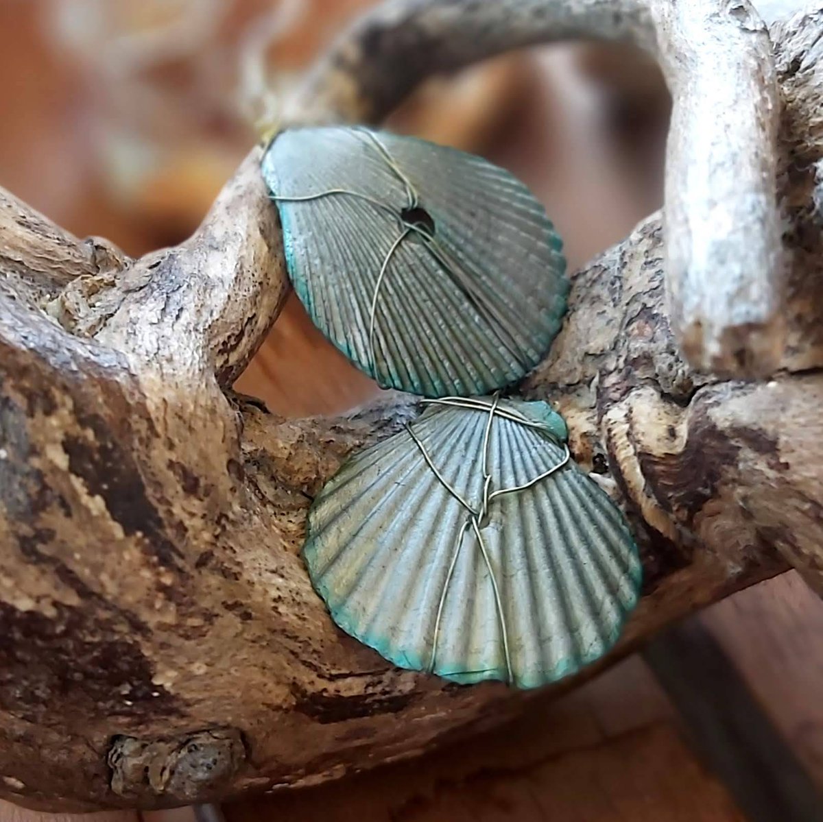 connie_malim's tweet photo. Good evening #HandmadeHour #EnglandHour  Introducing my new collection - Walcott. Featuring scallop earrings, drop ring dangle earrings and fresh colour combinations. 
https://t.co/bZLMIJrZw0 #supportsmallbusiness https://t.co/kbDuXSPdoL