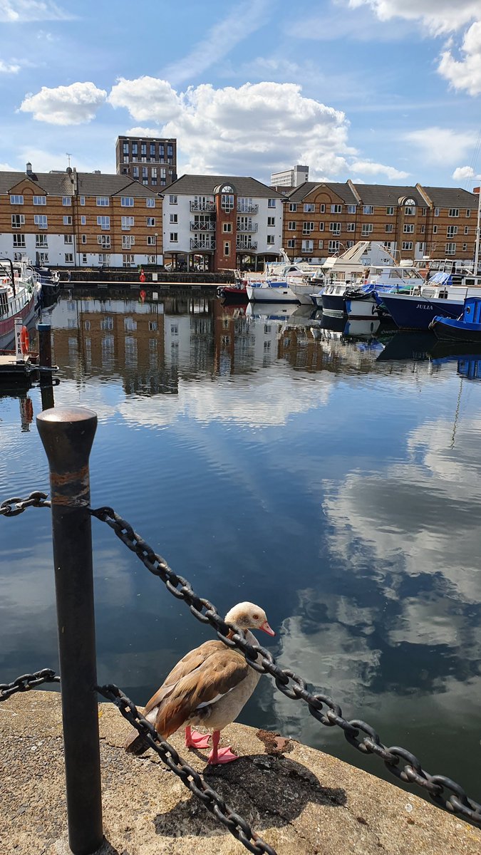 Along to the smaller South Dock