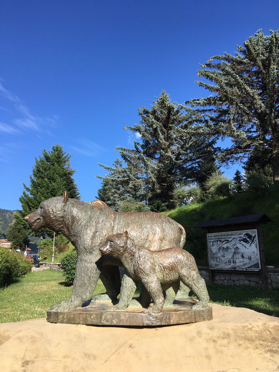 mirt_komel's tweet photo. The Bears of Metsovo.
#ursatrail #epiros https://t.co/E0vpyBmALK