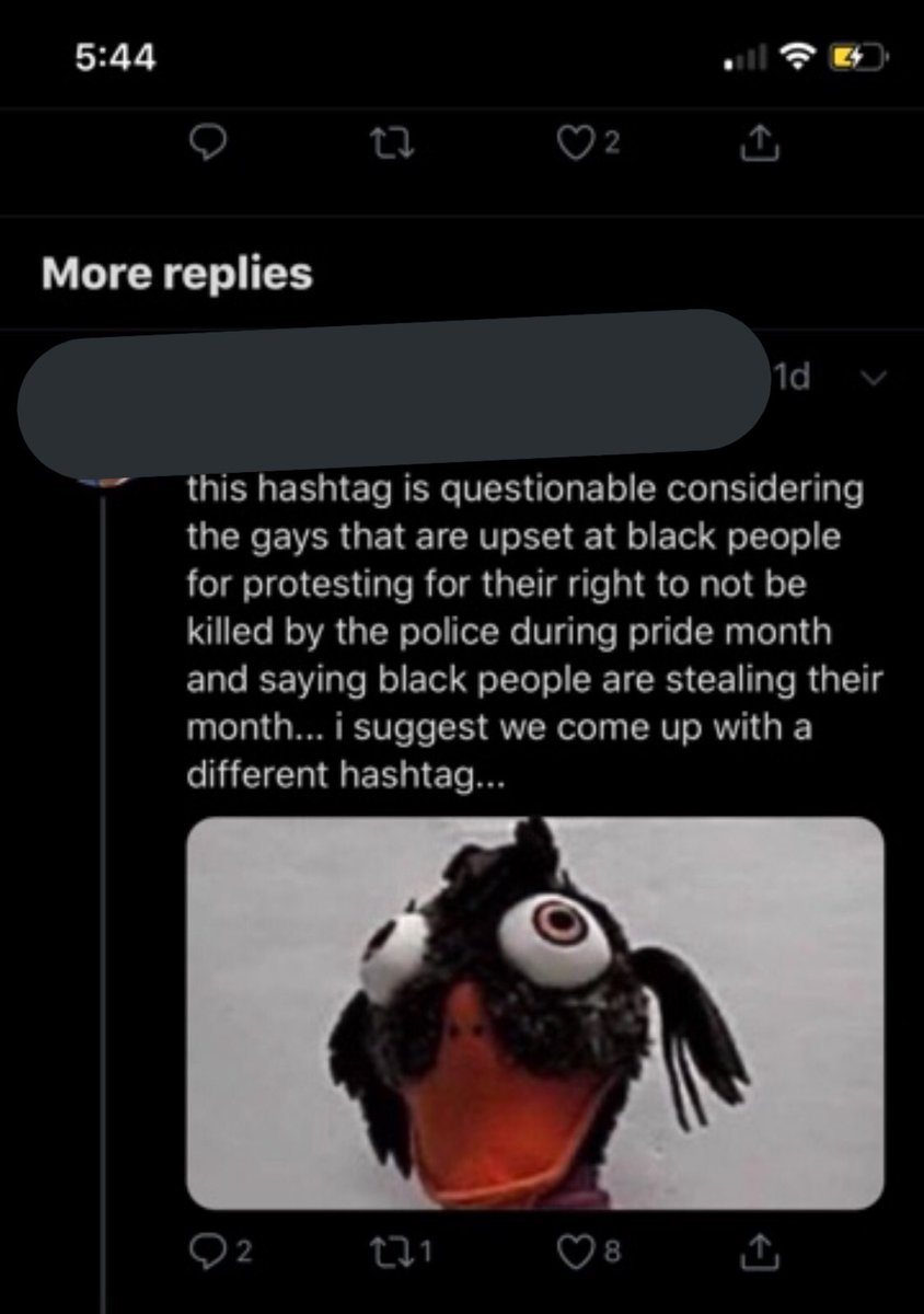 mary created the  #juneisforLGBT tag in the middle of the black lives matter movement. the phrase first “june is for gays” first got introduced by a white gay democrat with ill intentions behind it.