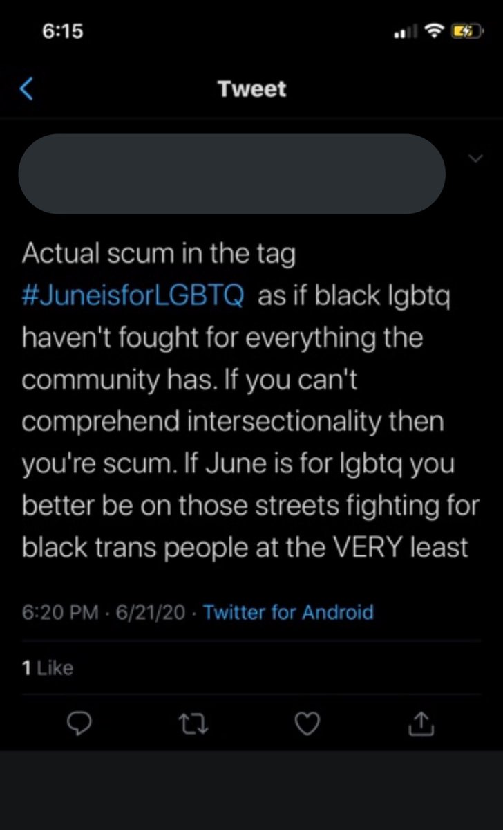mary created the  #juneisforLGBT tag in the middle of the black lives matter movement. the phrase first “june is for gays” first got introduced by a white gay democrat with ill intentions behind it.