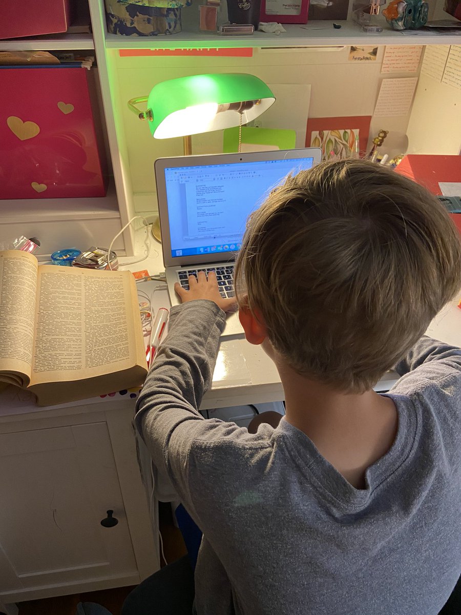 Annelyse Miller tweet media