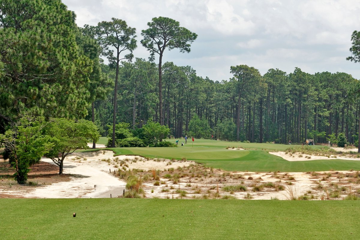 GolfCourseGurus's tweet photo. How much more pure does Mid Pines look post renovation?  Below are the 11th and 13th holes; once from my 2011 visit and then again in 2020.  @PineNeedlesGolf https://t.co/mJ9djYnKRB