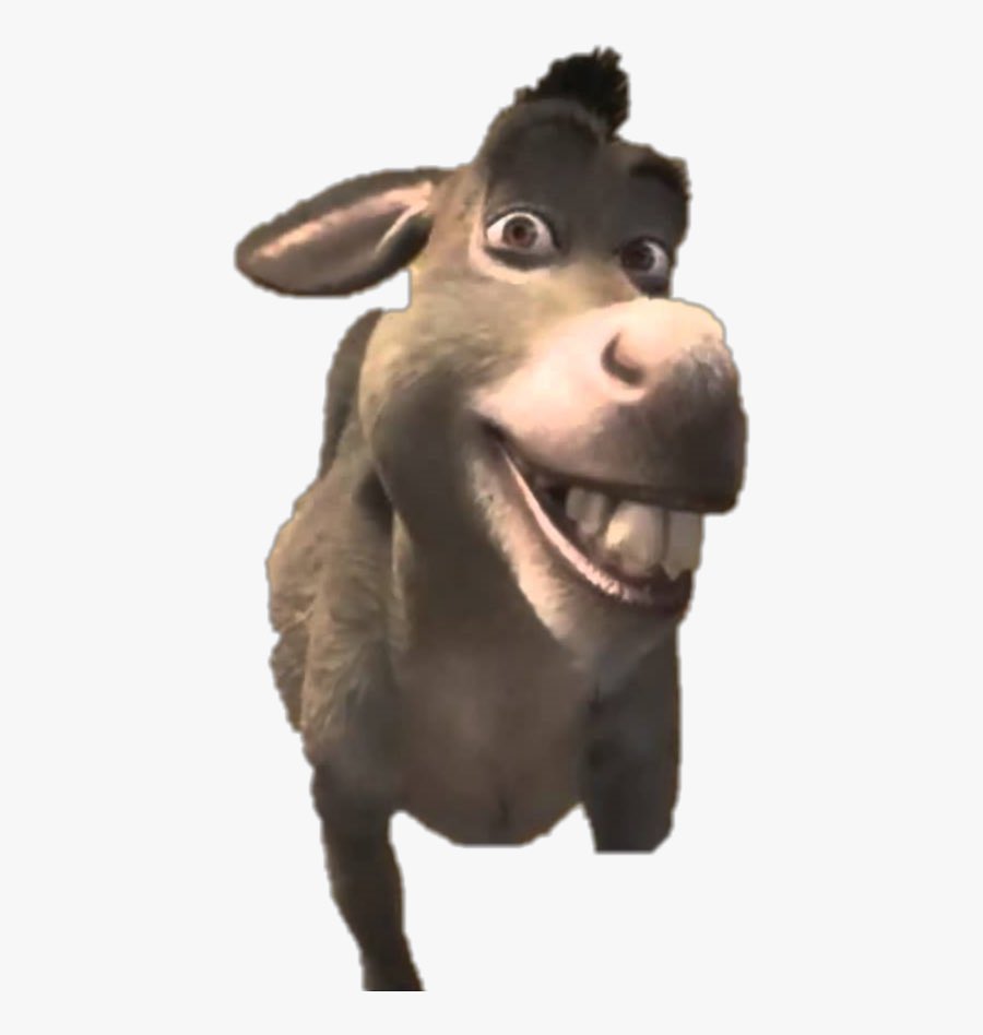 larmelio's tweet photo. i’m sorry but when i saw this all i could think of was DONKEY @larrayxo ily #larray #larrayxo #larraymemed https://t.co/UqKOXYZcXG