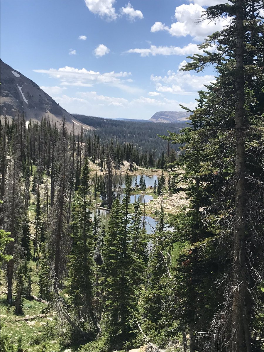 Sun Devils In Utah tweet media