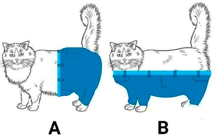 Lorenzo The Cat on X: How should cats wear pants? A or B? https