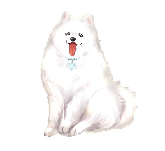 サモエドのtwitterイラスト検索結果