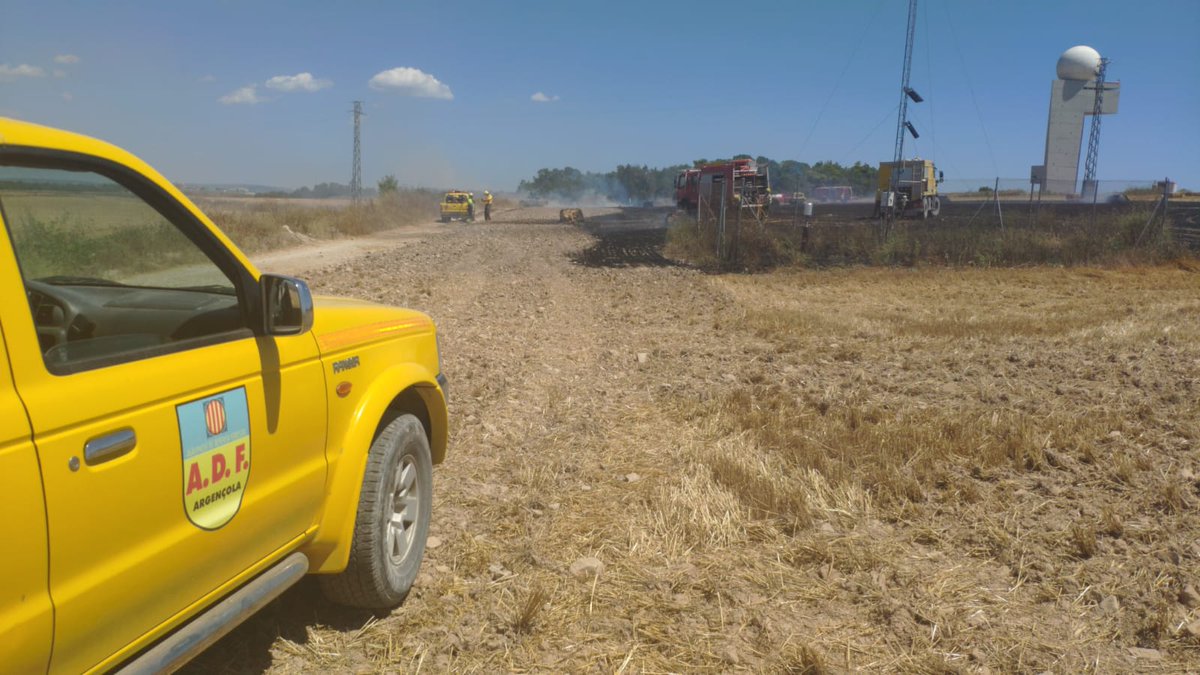 Federació ADF Anoia tweet media