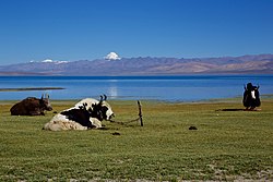 Saraswati is also mentioned ( RV, III 23,4).It will appear that Sindhu & Saraswati are mentioned most in the Rigvedic hymns, confirming that the river Saraswati which is extinct now, flowed during Rigvedic times.Image of Mansarovar lake, from where Indus originates.