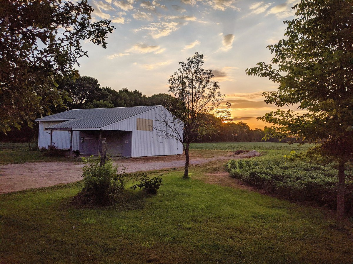 architectdave72's tweet image. Sunrise run this morning. #viewfrommyrun