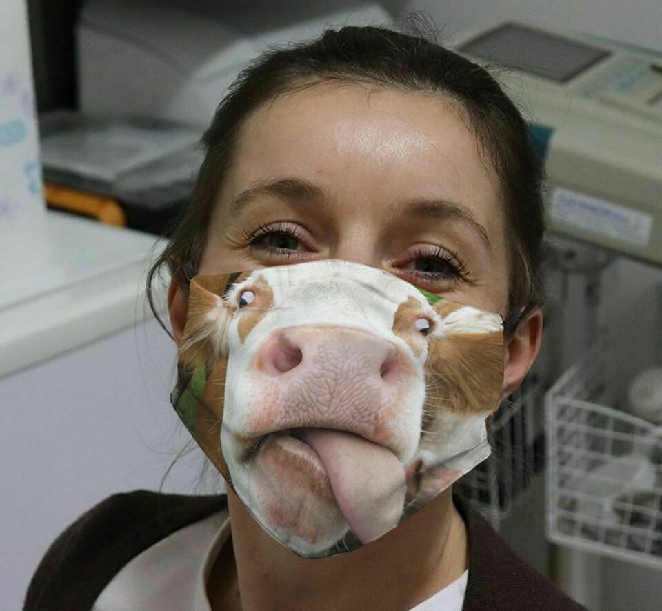 dadaloria's tweet photo. Funny mask of cows
 #afacemask  #afacemaskaday  #afacemaskwillfixeverything  #afacemaskfixeseverything  #afacemaskadaykeepsthewrinklesaway  #facemaskborong  #bfacemask  #bfacemasks  #facemaskconnector  #facemaskcollection  #facemaskcrochet https://t.co/5tHrJNFoDW