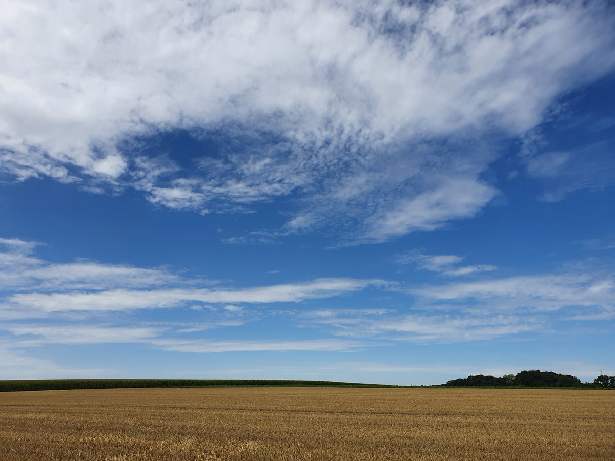 magdalenaerts's tweet photo. #vrtweer #Neerwinden 14.01 https://t.co/4XAAyykw6t