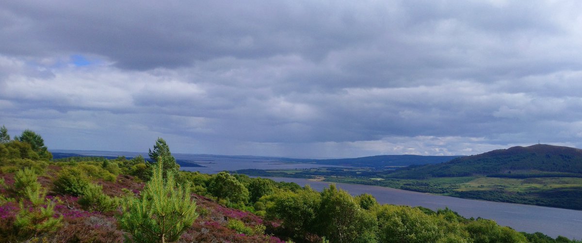 WorthingtonD's tweet photo. Fantastic work by @LedmoreMigdale. This has become one of my favourite local walks and viewpoints #KyleofSutherland #Creich #DornochFirth #Struie #Edderton #adjacentcoasts https://t.co/d9AkDgKoCQ