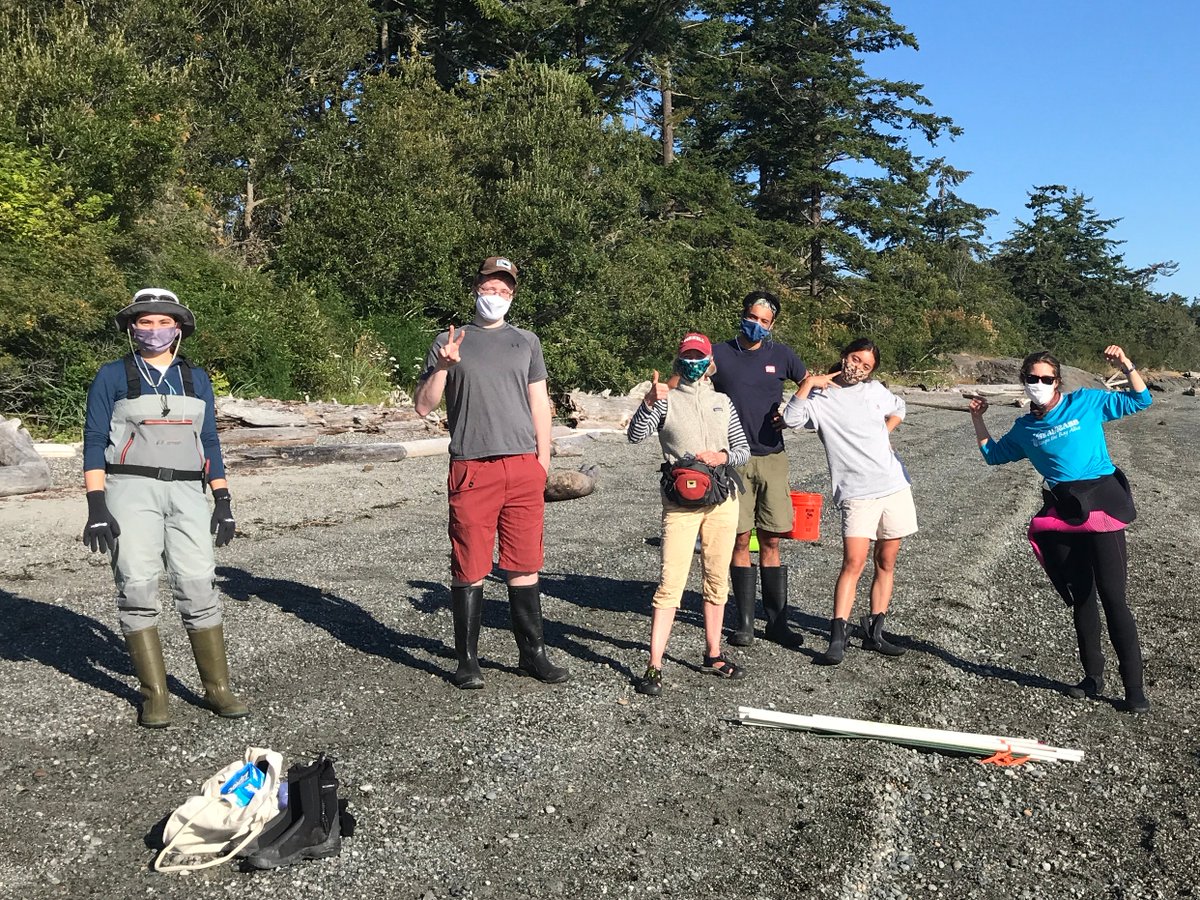 DrewHarvell's tweet photo. Masked up for first day of our annual #eelgrasswasting #wastingdisease survey w @SImarineGEO @JEmmettDuffy #TeamCornell @o_jgraham @lillian_aoki @ArjunHausner @ElizaHeery CoCo Dawkins, Dillon Brownell @CornellCALS https://t.co/TgVyhCyMGU