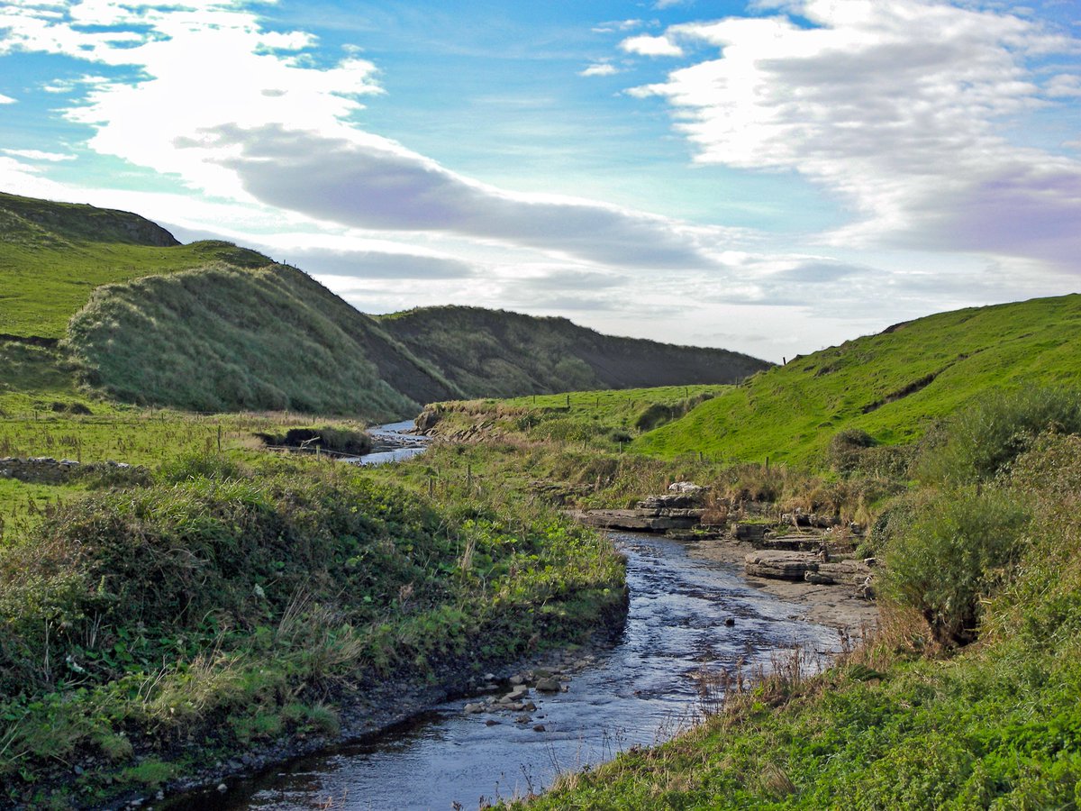 J O'Donovan interviewed a Co Clare seanchaí. "This cow would fill with her milk any vessel,.. at one milking". 2 women wagering on whether a vessel could be found to outsize her capacity, & when a sieve was produced, the cow's milk caused 7 overflooding streams to pour forth!