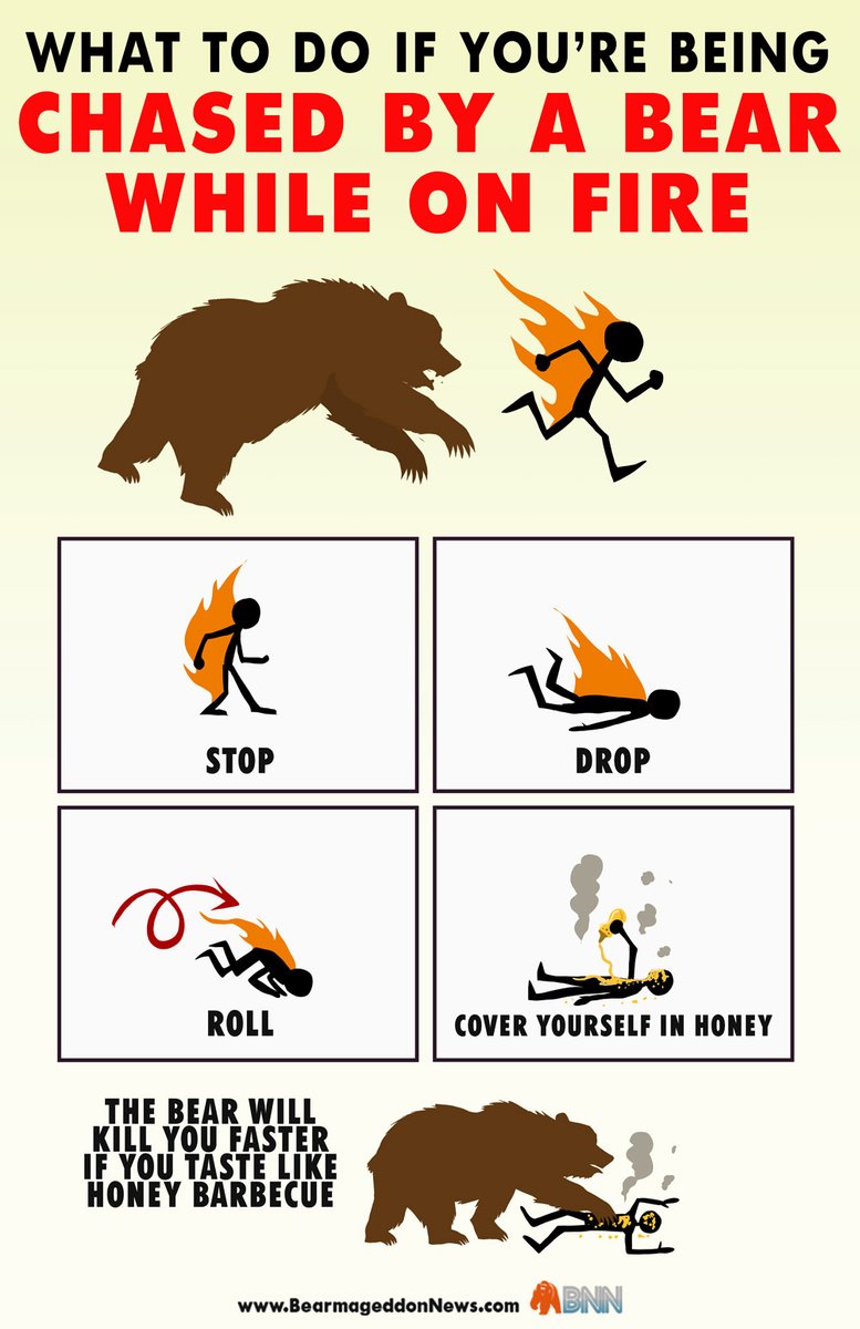 MichaelDavisPIO's tweet photo. #FireGroundUpdate: It is Wildland Fire Season in the USA once again. So, I thought it might be helpful to share my Bear Encounter Tips for Wildland Firefighters. https://t.co/mPR3NImch4