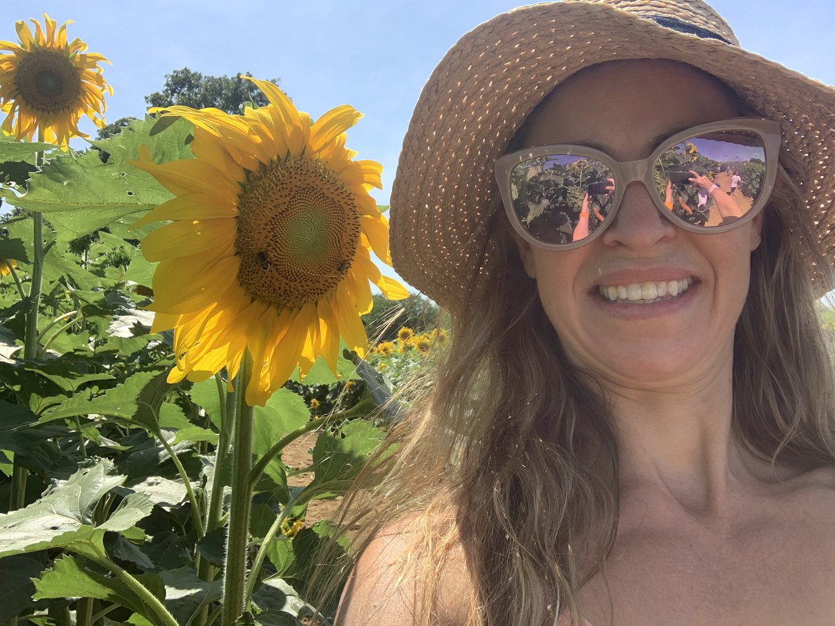 Thank goodness sunflower allergy is rare!  Exploring sunflower farms is a great outdoor social distant activity this time of year.  #sundayvibes #allergyseason #Sunflowers