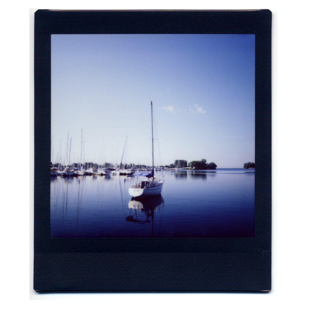 luisborba's tweet photo. Marina.
#instax #fujifilm #instaxclub #instaxcamera #instantpicture #instaxlovers #filmphotography #analog #fujiinstax #instaxsquare #instaxsq6 #dontjusttakegive #instaxathome @instax @instaxHQ https://t.co/qyAEfA2nR0