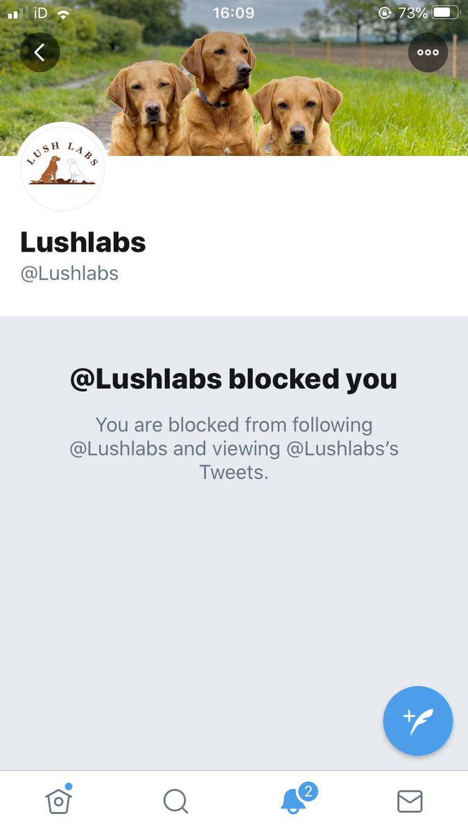 Katy at Learner Vegan tweet media