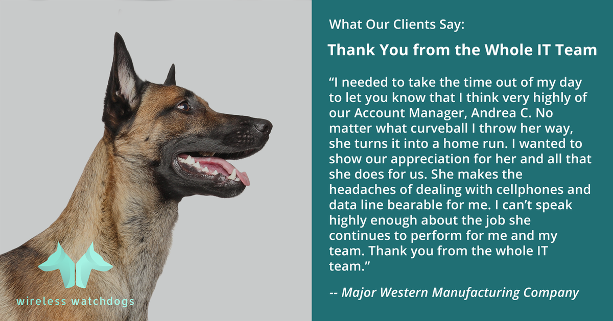 What does the IT team at a major manufacturing company have to say about our #ManagedMobility support? Quite a lot! #MMS #Wireless #SuperiorCustomerService