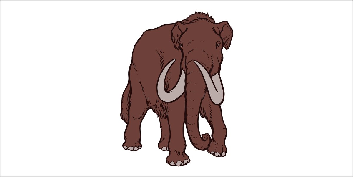 RoyalTyrrell's tweet image. The woolly mammoth is an iconic mammal from the Pleistocene ice age. Mammoths roamed our planet so recently that some were still alive in the High Arctic while the Great Pyramids were being constructed in Egypt! Tweet your woolly mammoth drawings at us. #RTMPArtChallenge