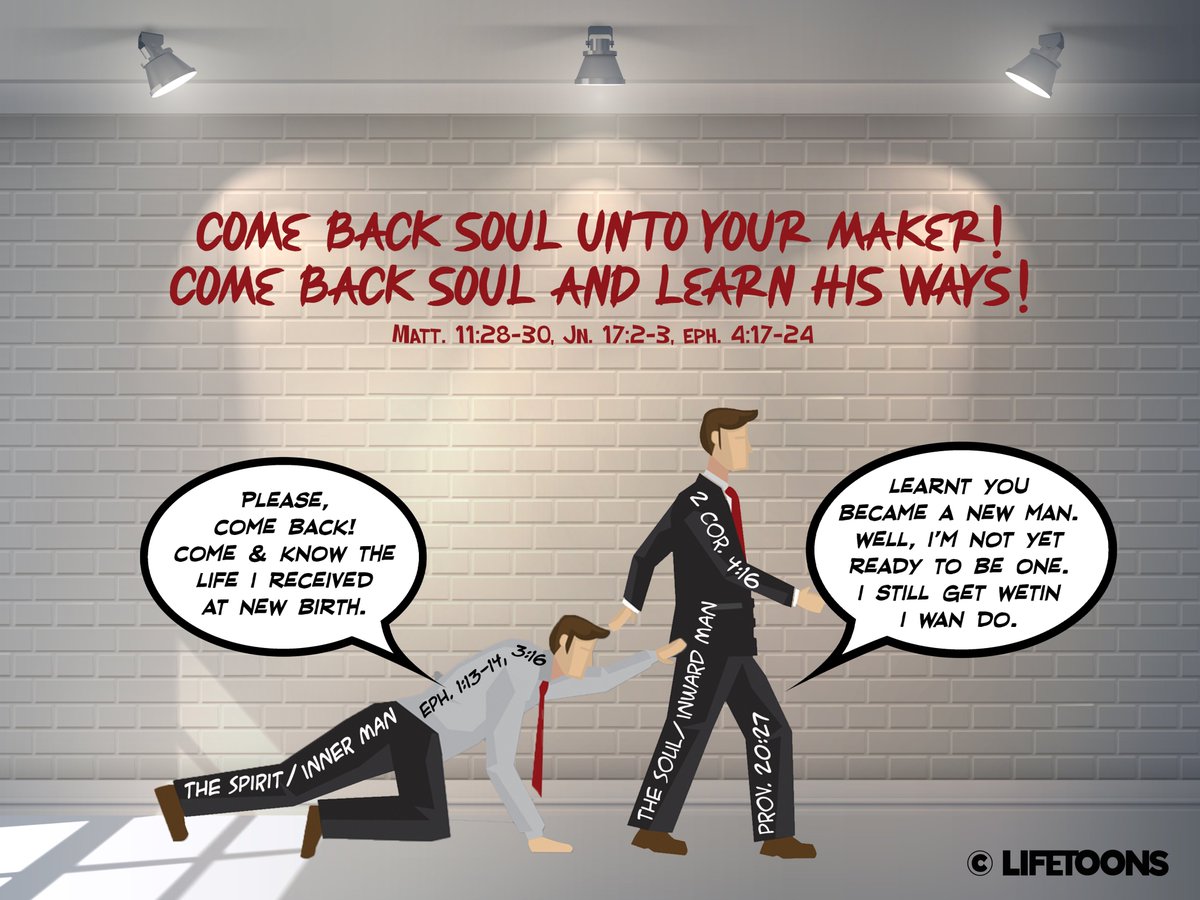 Lifetoons tweet media