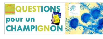 ReJIF_'s tweet photo. La session du @ReJIF aux @JNInfectio de Poitiers 2020 sera sous forme d'un jeu concours. Quatres équipes candidates de 3 jeunes infectiologues français répondront à des questions de maladies infectieuses au cours de 3 manches successives. Venez nombreux les encourager ! https://t.co/GkKRTqSpvD
